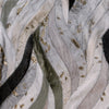 ONDA OLIVE SAMPLE