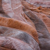 ONDA RUSSET SAMPLE