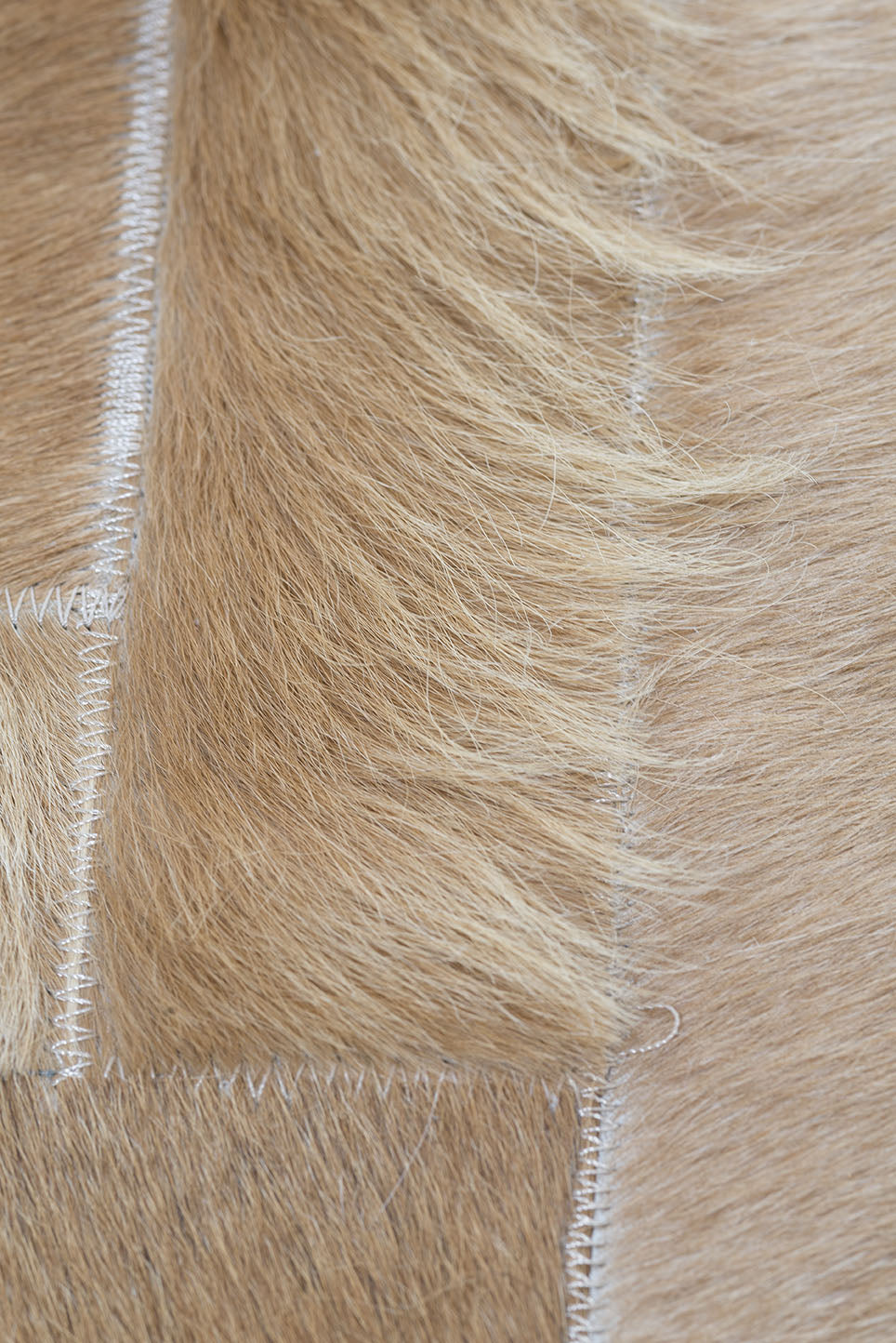 ESPINA - CREAM SAMPLE