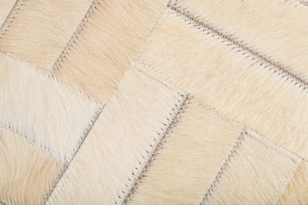 SWALLOWTAIL - CREAM SAMPLE