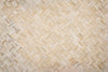 Swallowtail Cream